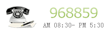 预约挂号热线:968859